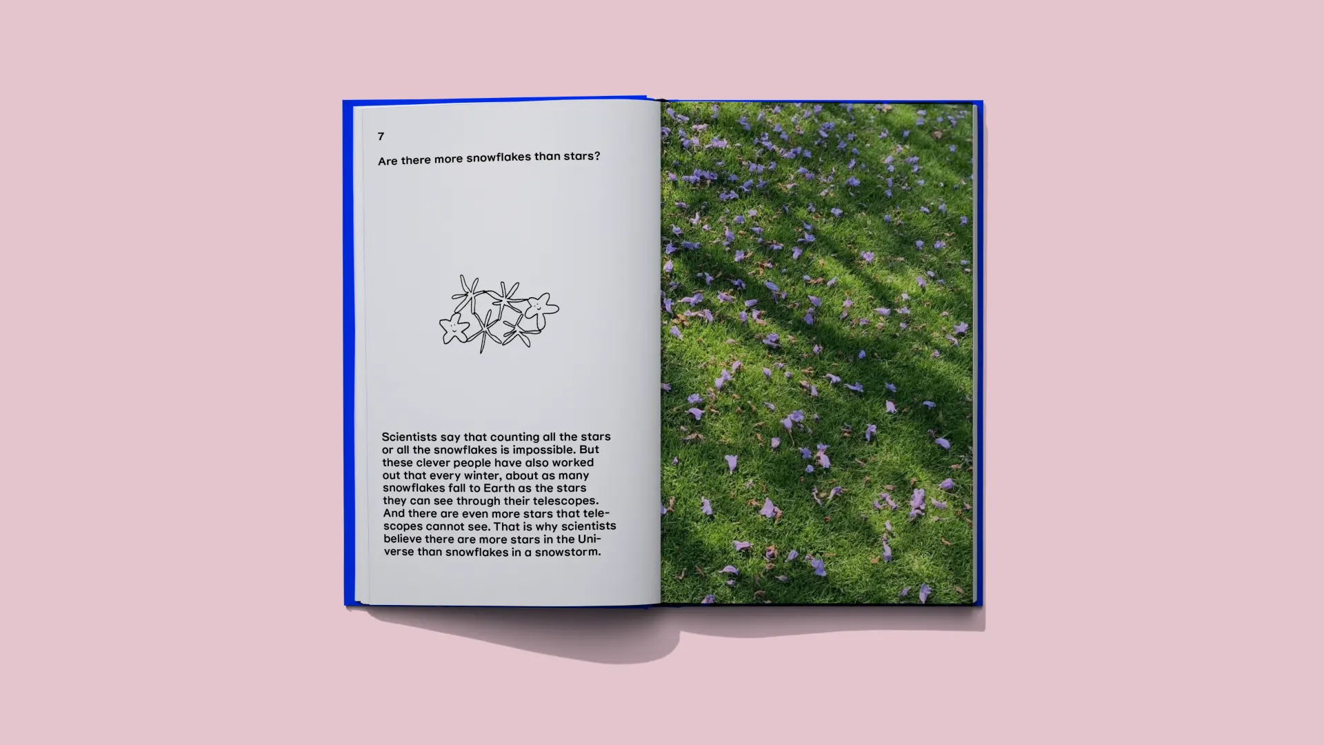 The Book of Questions 8