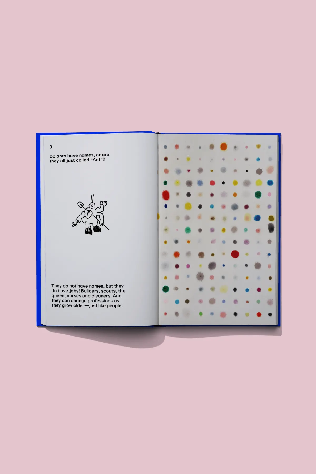 Together with children, we think about everything under the sun: from the daily lives of people and snails to the edges of the Universe and the properties of time.