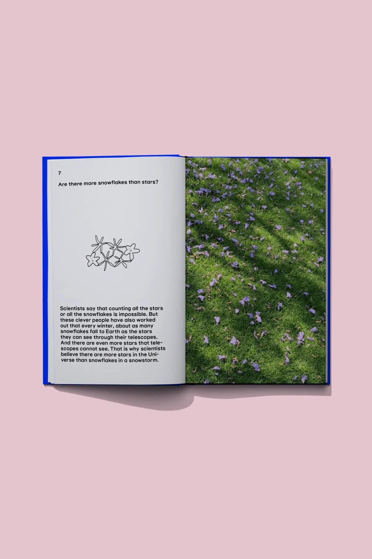 The Book of Questions 8